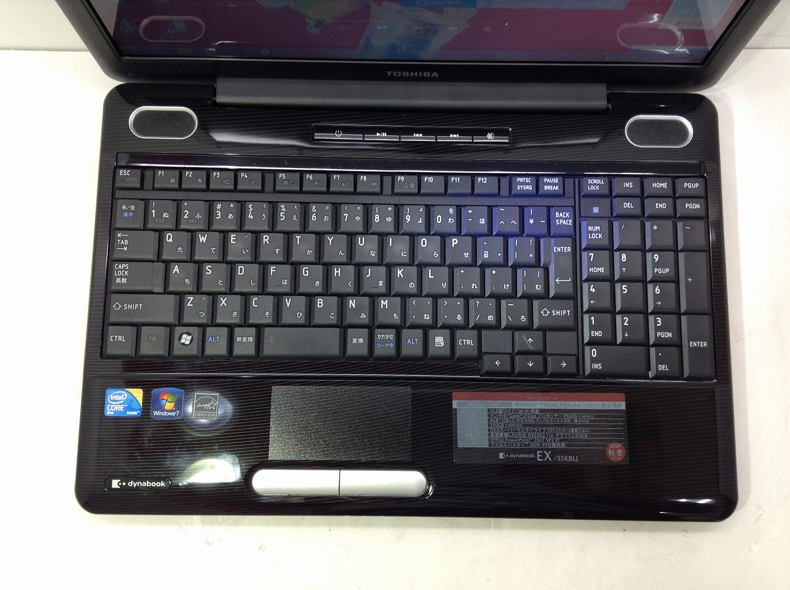 東芝 dynabook EX/35KBLJ