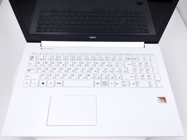 NEC LAVIE Note Standard NS20A/M2W(CPU：AMD A6-9225 APU 2.6
