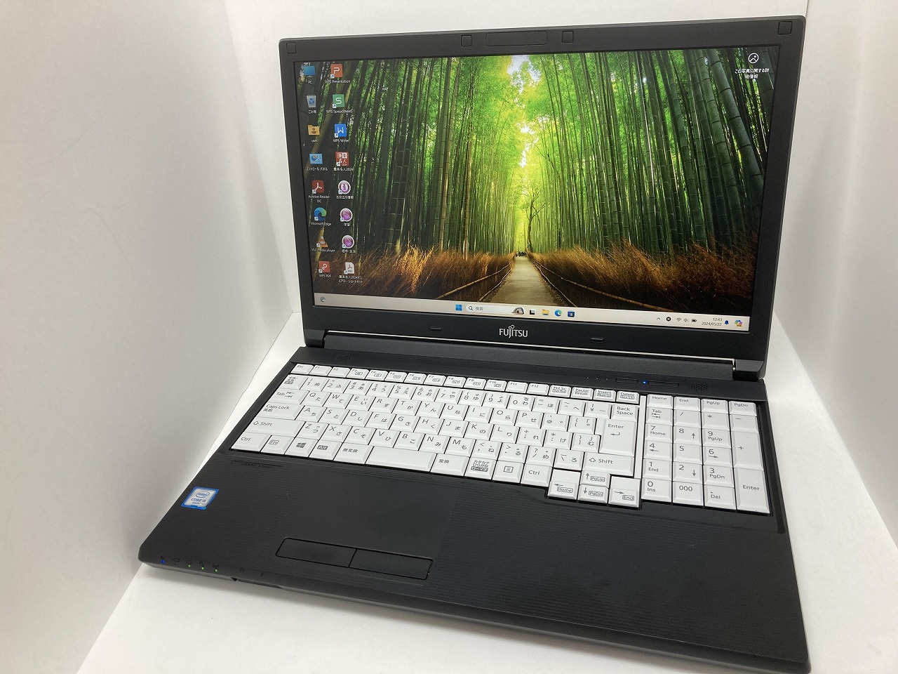 FUJITSU LIFEBOOK A576/S