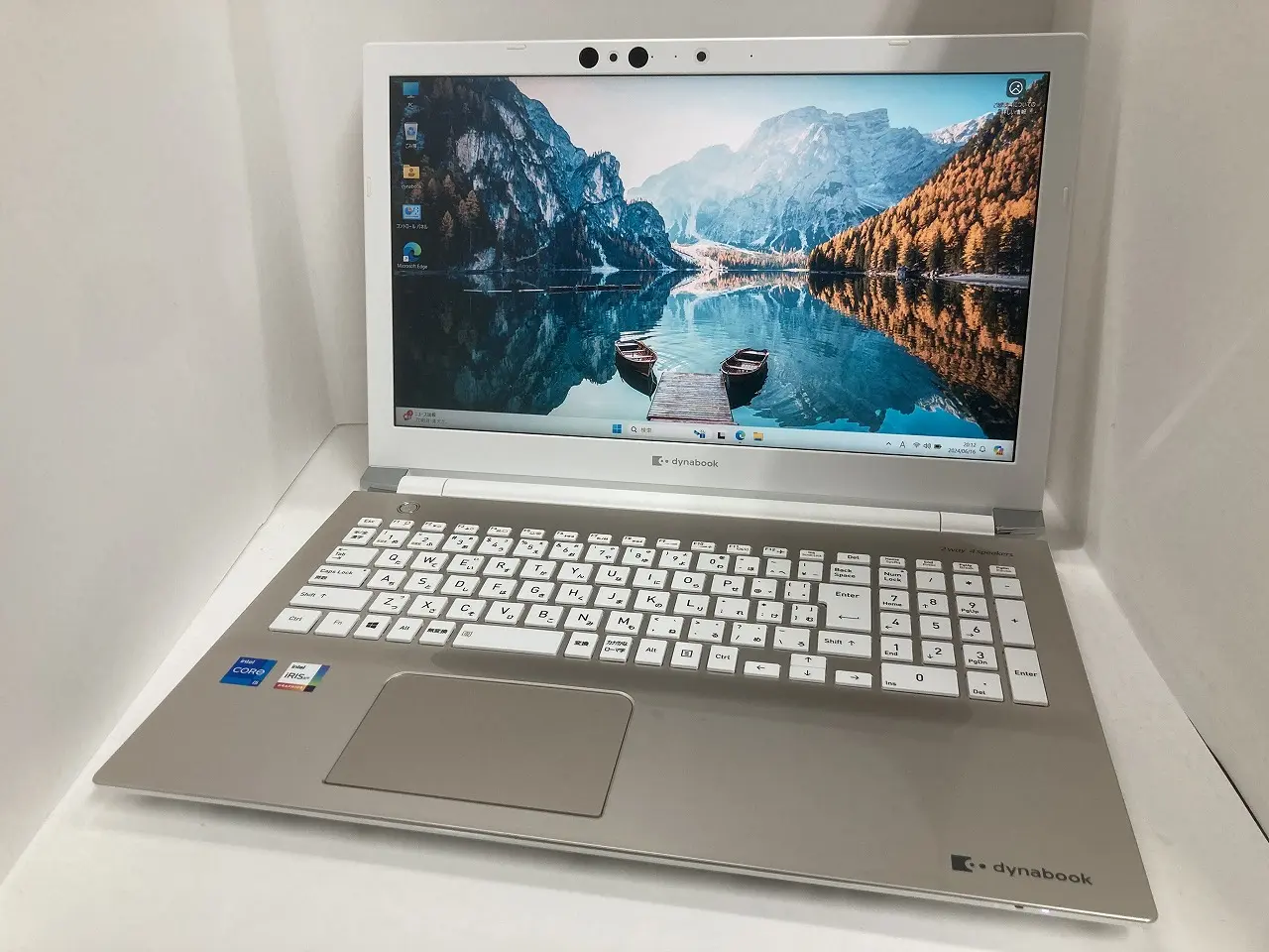 Dynabook P1-E6RJ-BG