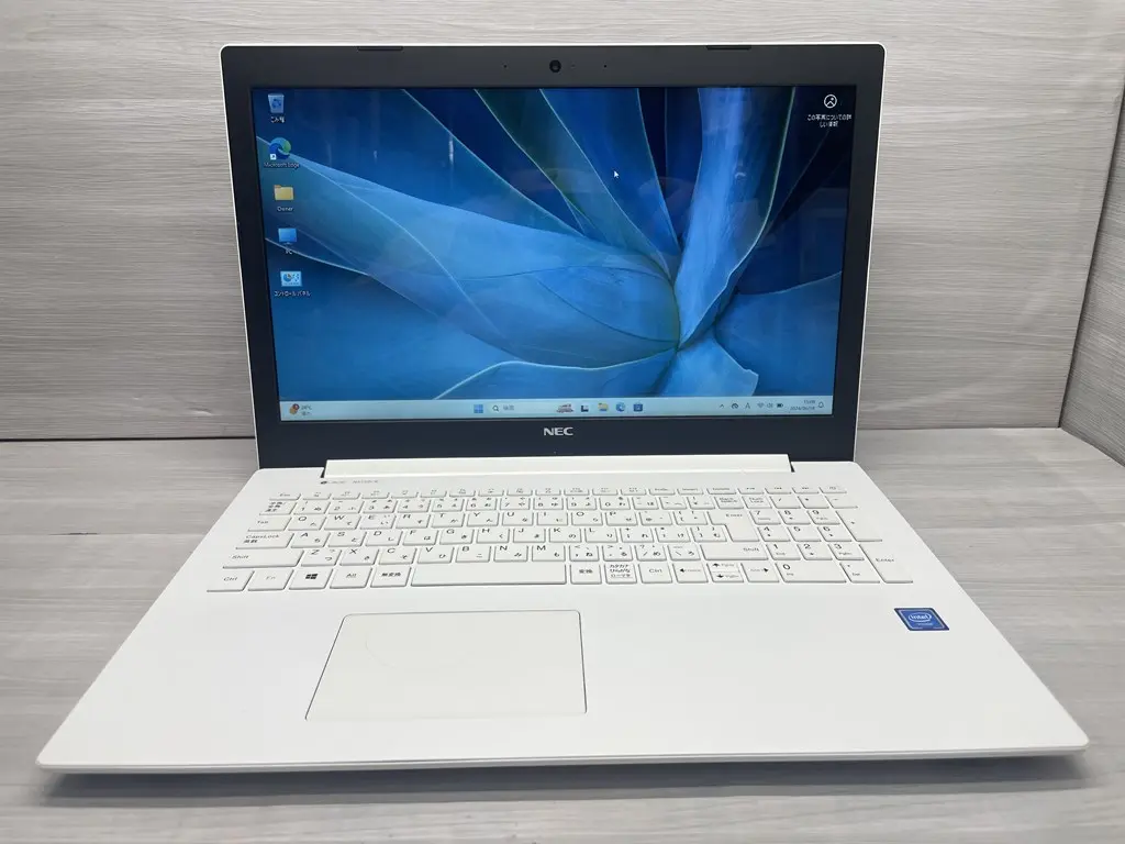 LAVIE Note Standard PC-NS150KAW