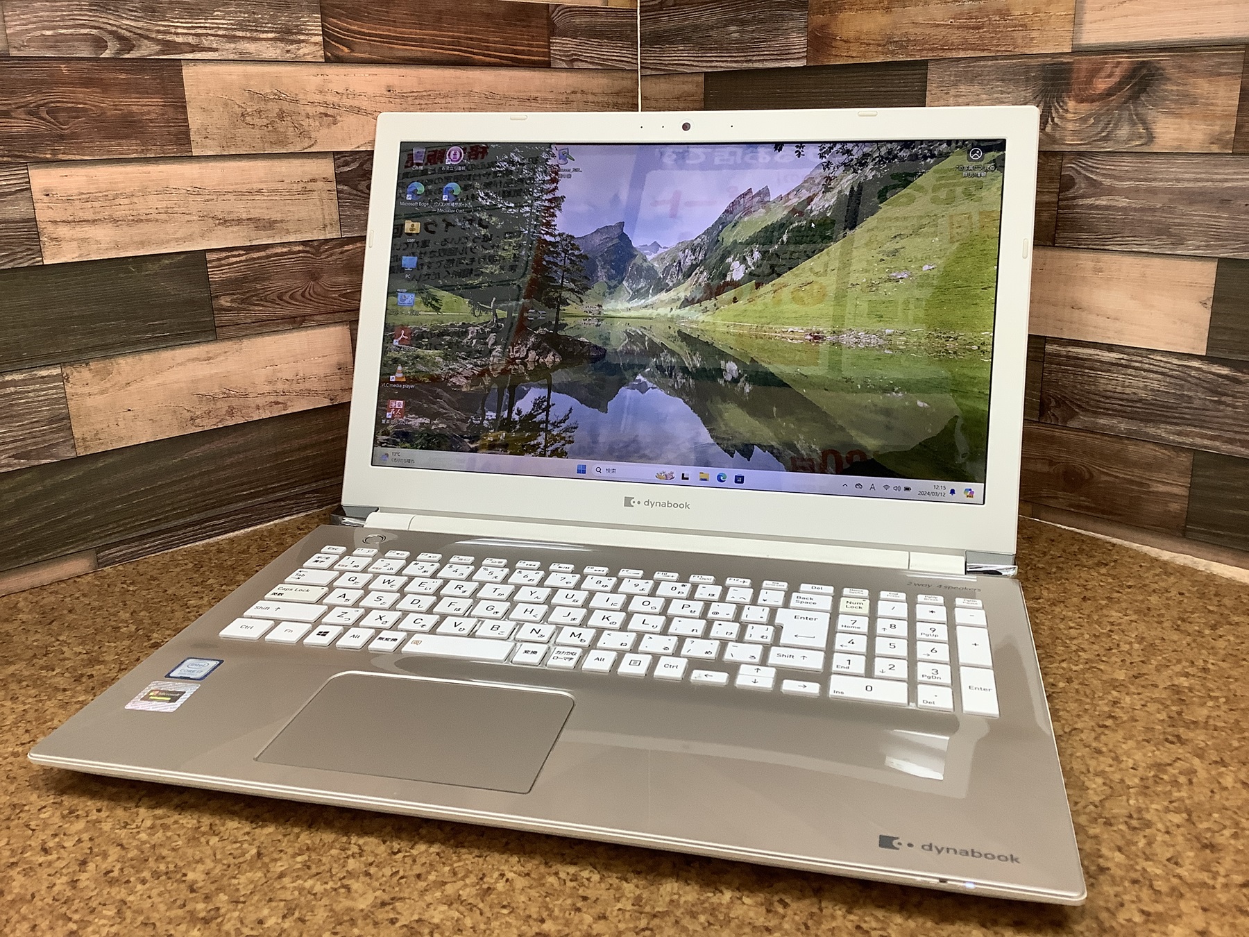 東芝 dynabook P1-T6NP-EG