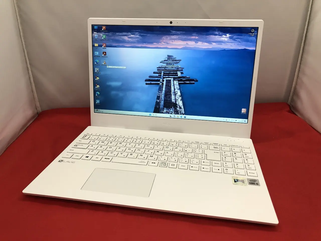 NEC Lavie PC-GN164RLLH（第10世代CPU）