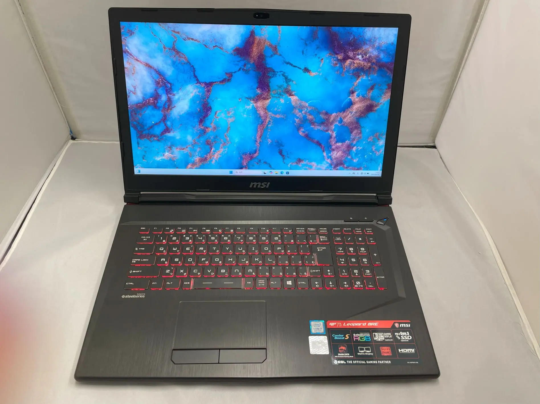 MSI GP Leopard 8RE (8世代)