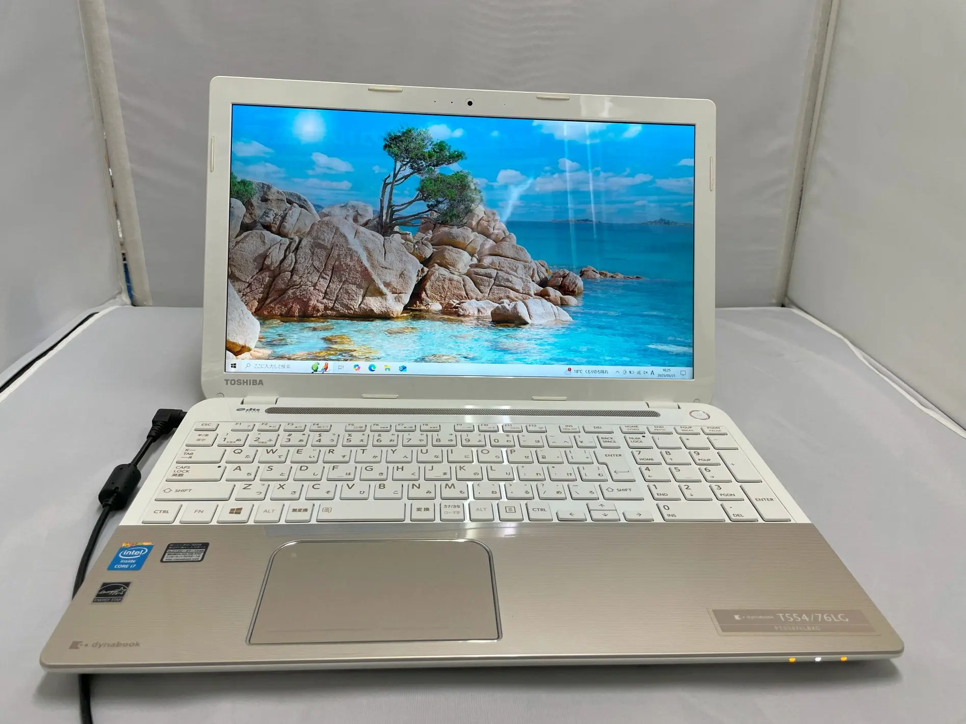 TOSHIBA dynabook T554/76LG