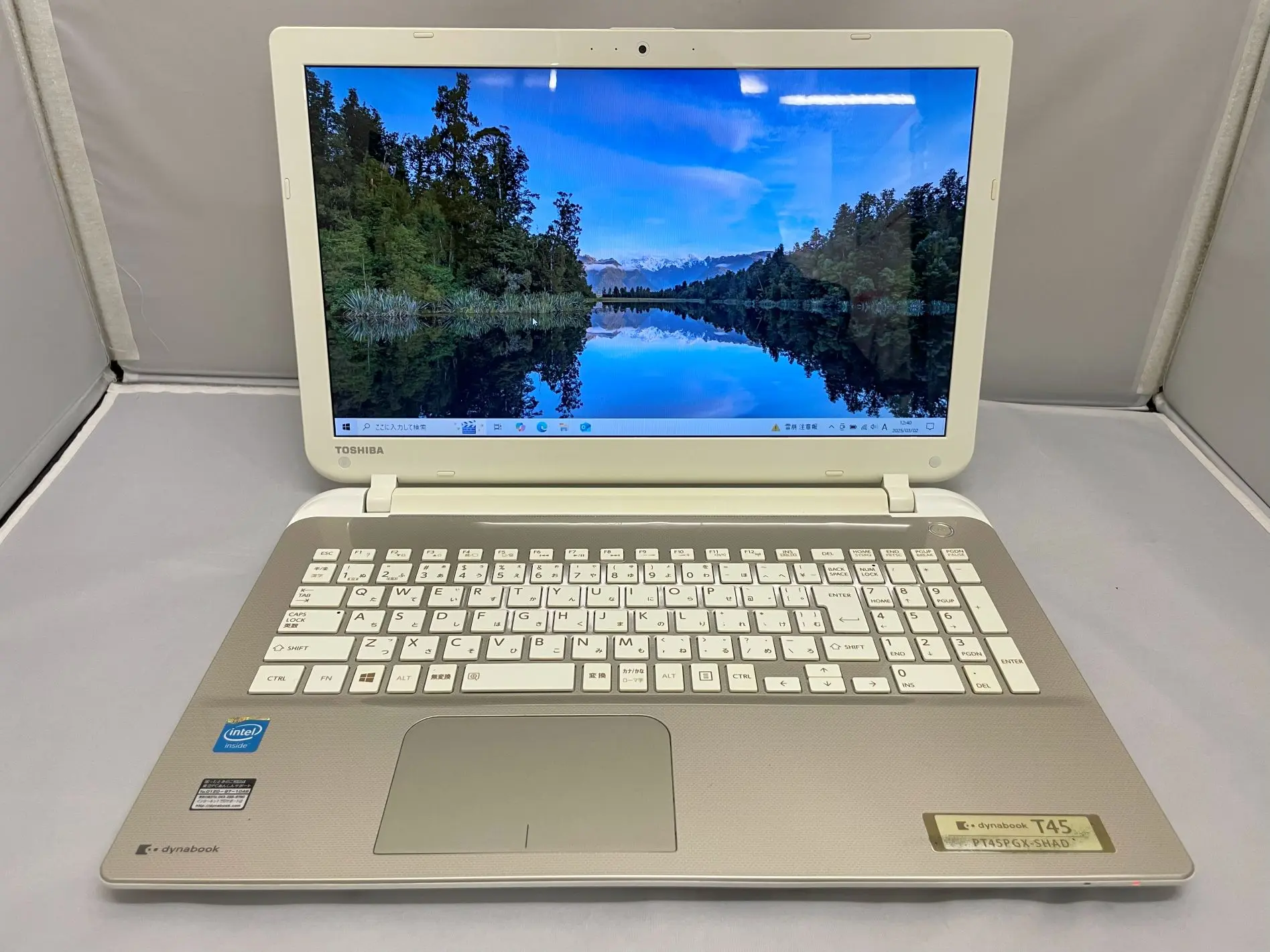 TOSHIBA dynabook T45/PGD