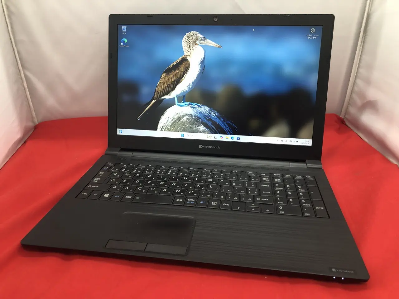 dynabook B65/ES（第8世代CPU）