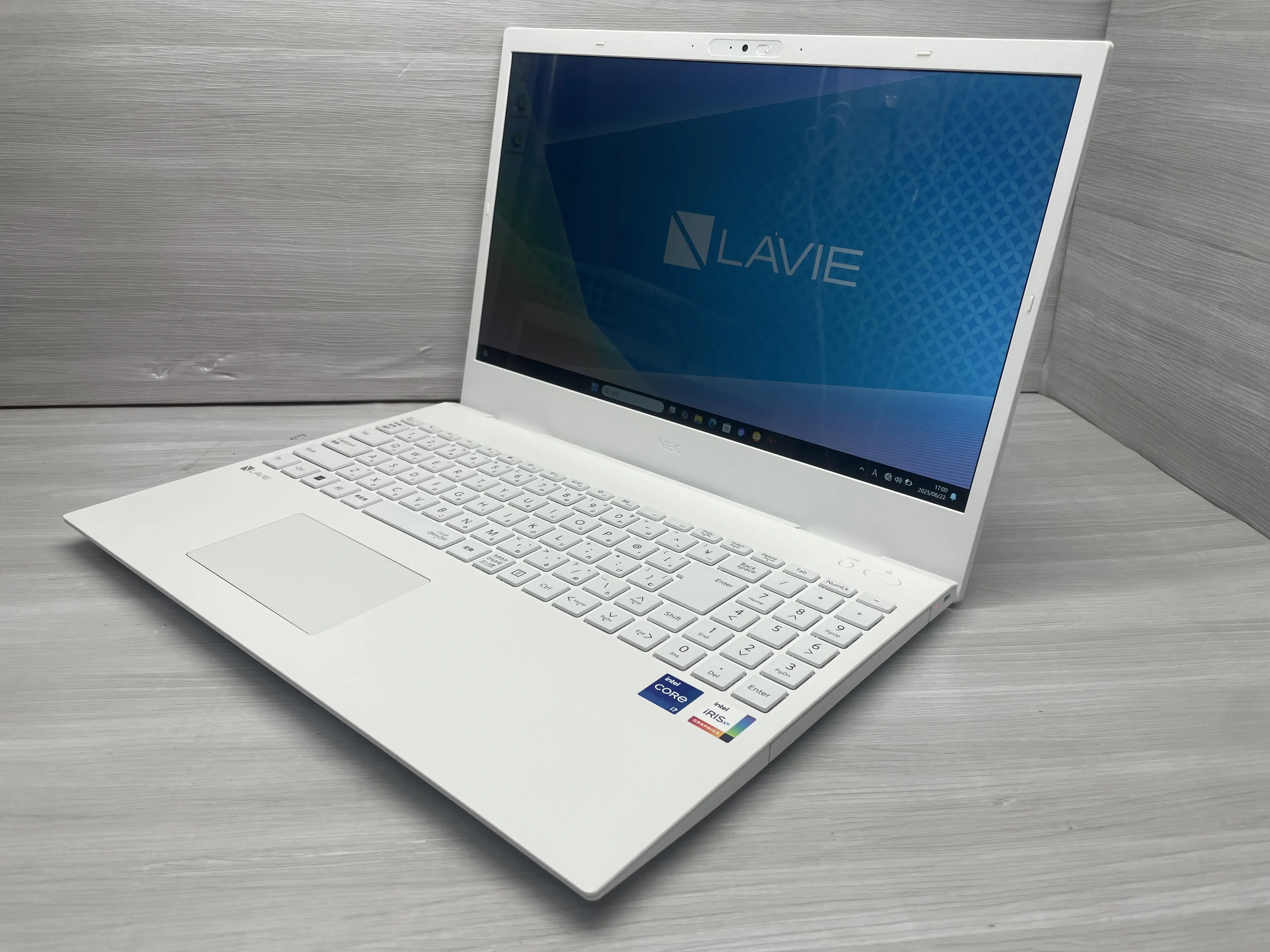 NEC LaVie Direct PC-GN1176ADAZ(第12世代CPU)