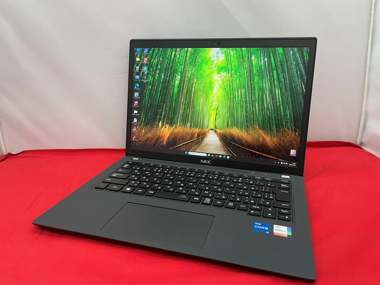 NEC LAVIE PC-GN245LG1S(第11世代CPU)