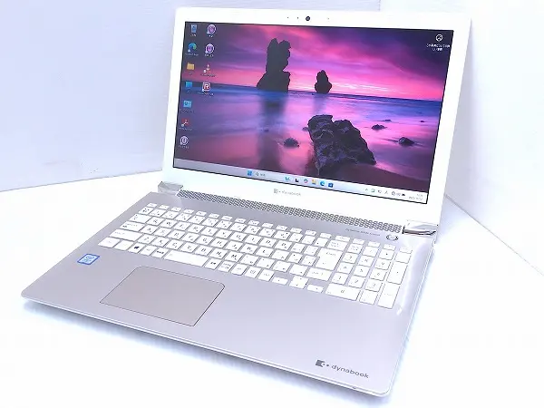 dynabook P3-T4LS-BG