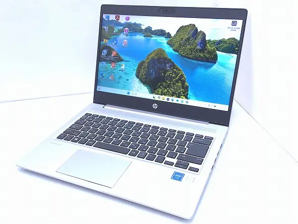 HP mt22 Mobile Thin Client