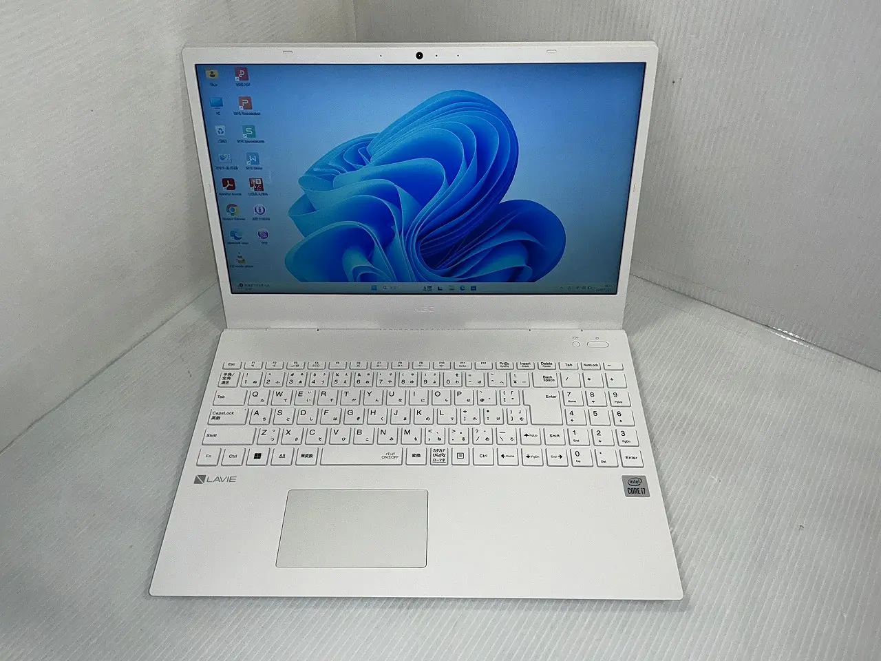 NEC LAVIE Direct N15 PC-GN186ADAS (第10世代CPU)