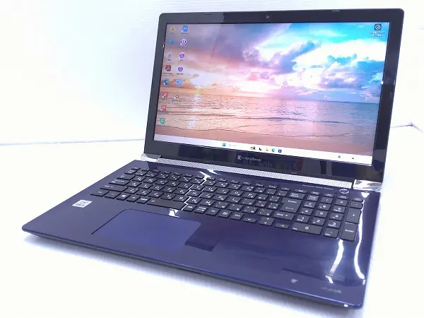 Dynabook P1-E6MN-BL