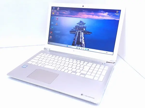 dynabook P3-T4LS-BG
