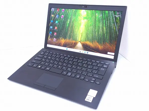 VAIO VJPG13C11N