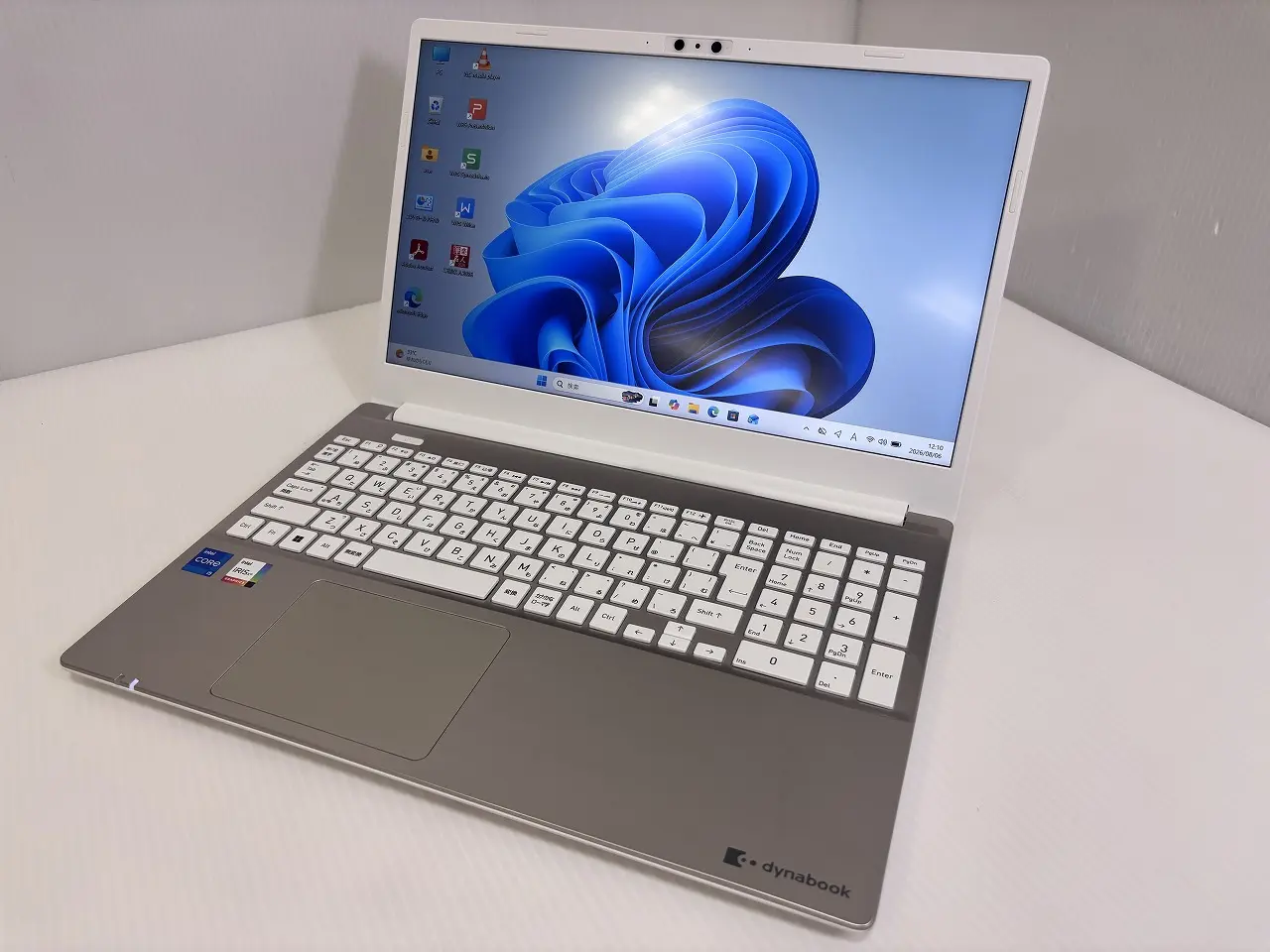 dynabook P1-C6WN-EG