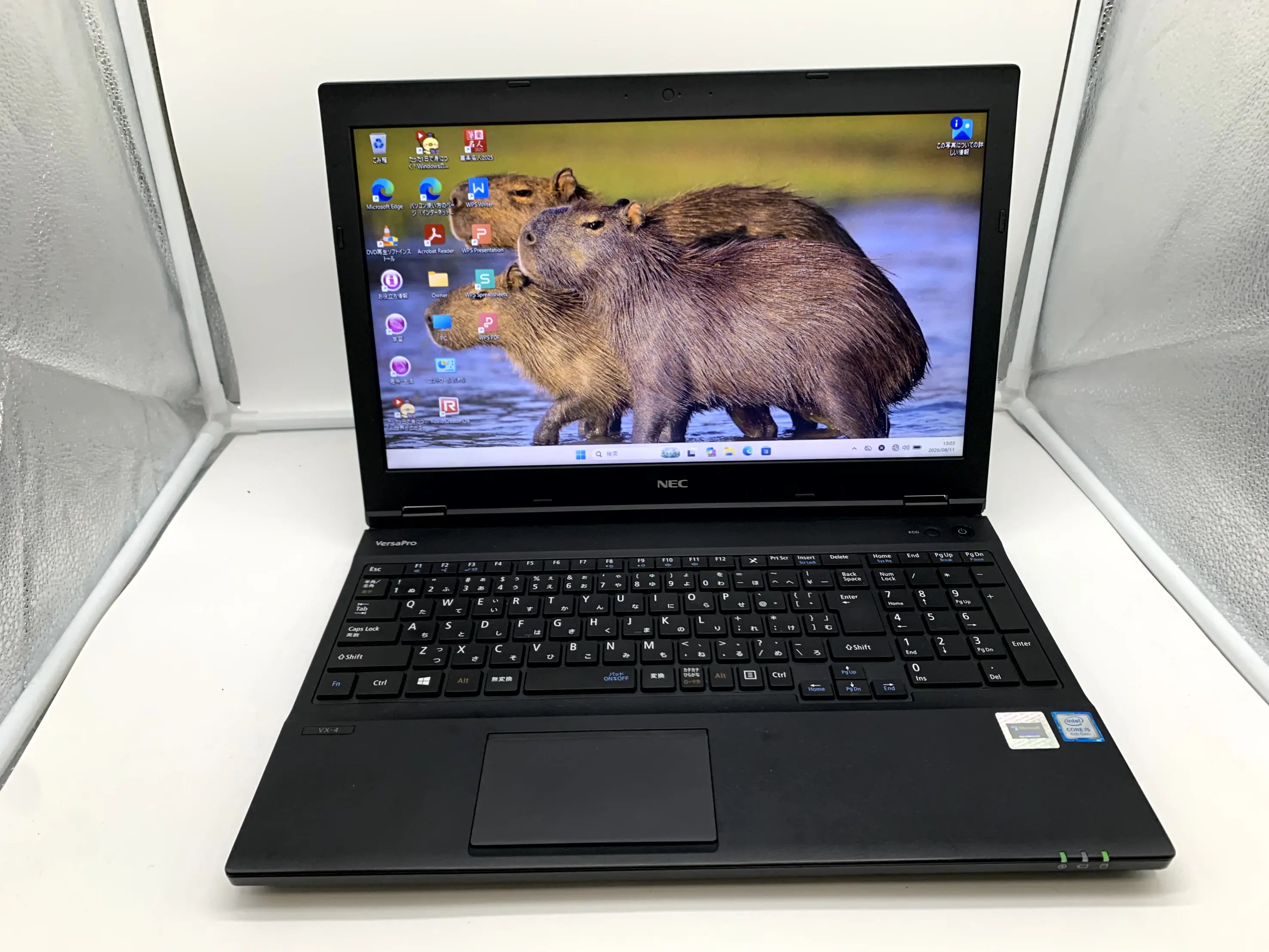 NEC VersaPro VKT16X-4