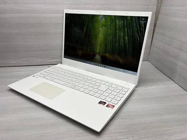 NEC N1565/FAW (Ryzen 7 7730U (8コア/16スレッド・Zen 3))