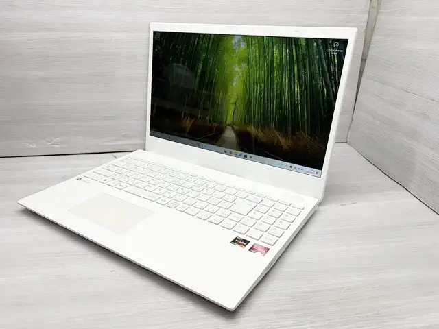 NEC N1565/FAW (Ryzen 7 7730U (8コア/16スレッド・Zen 3))