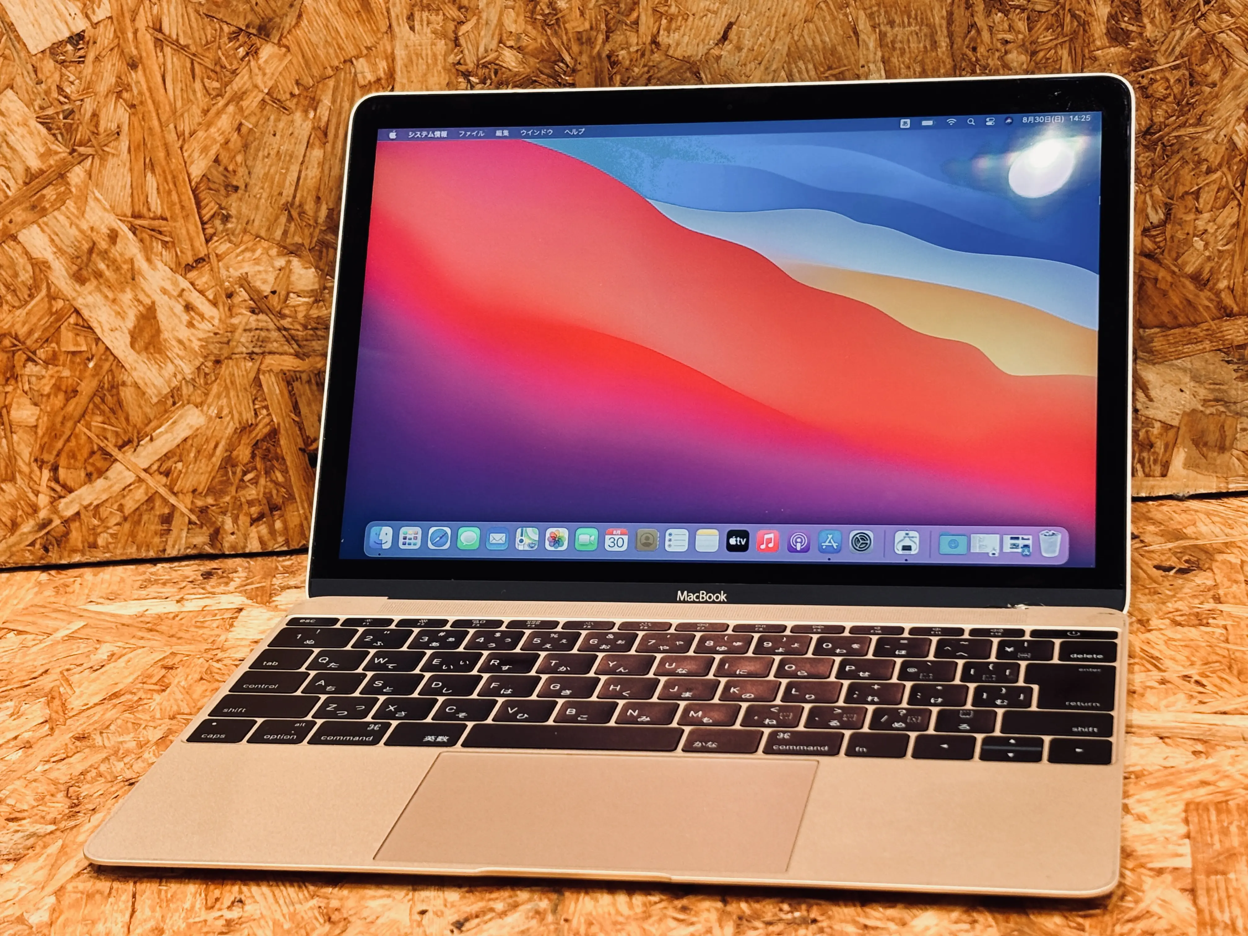 Apple MacBook A1534